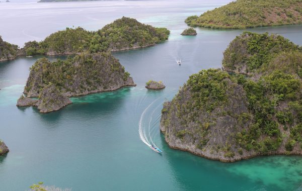 Raja Ampat, Indonesia: The Reefs That Started the Whole Coral Triangle Idea