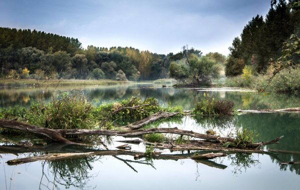 Map of the Danube: From the Black Forest to the Black Sea