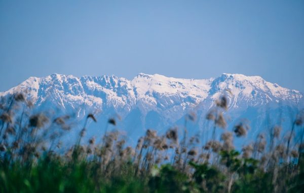 Map of the Pyrenees: The Mountain Wall Between France and Spain